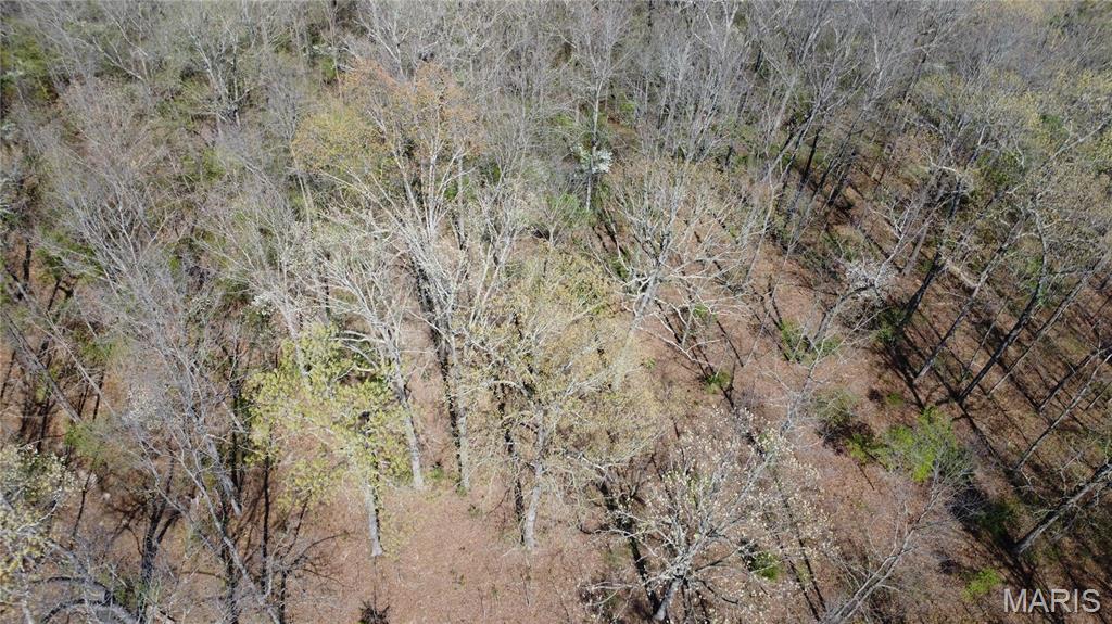 14559 Hunter Lane Winona, MO 65588 - Photo 29 of 31