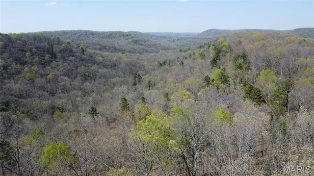 $335,000 | 14559 Hunter Lane, Winona, MO 65588