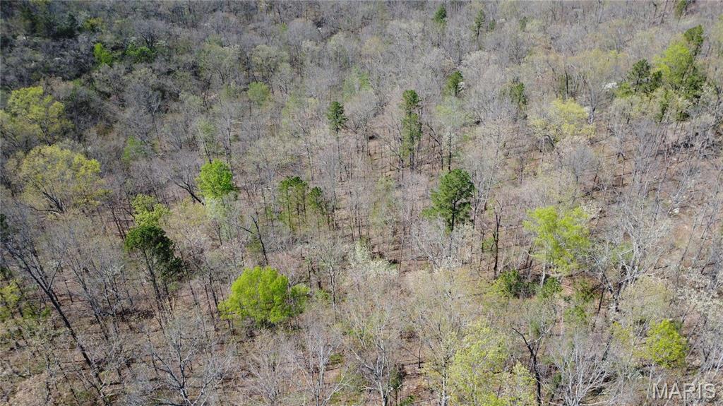 14559 Hunter Lane Winona, MO 65588 - Photo 31 of 31