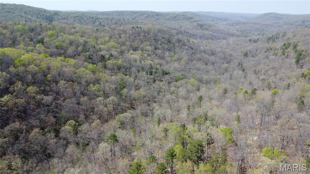 14559 Hunter Lane Winona, MO 65588 - Photo 4 of 31