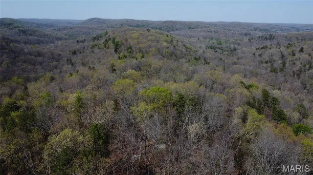 $335,000 | 14559 Hunter Lane, Winona, MO 65588