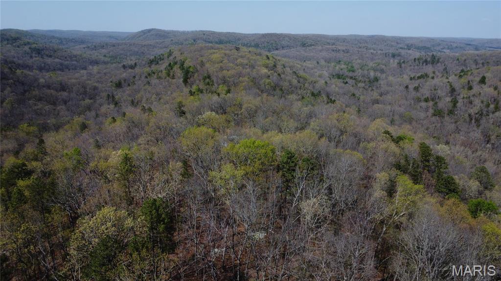 14559 Hunter Lane Winona, MO 65588 - Photo 9 of 31