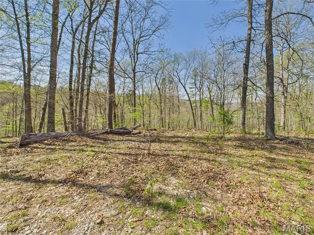 $335,000 | 14559 Hunter Lane, Winona, MO 65588