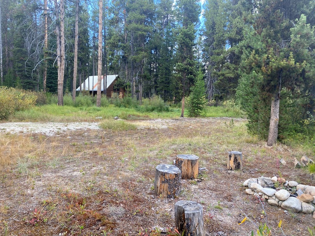 24653 Warren Wagon Road McCall, ID 83638 - Photo 13 of 15