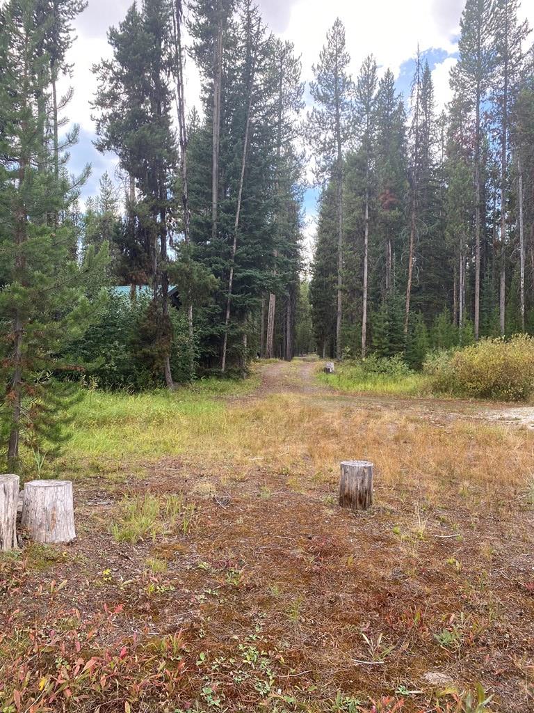 24653 Warren Wagon Road McCall, ID 83638 - Photo 14 of 15