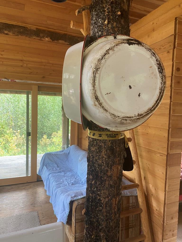 24653 Warren Wagon Road McCall, ID 83638 - Photo 6 of 15