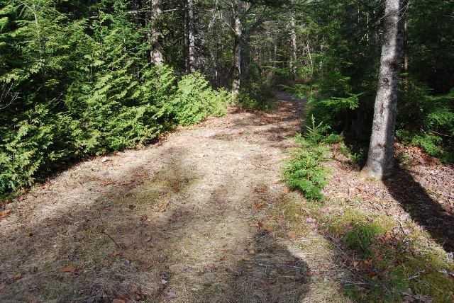 0 Marks Road Albion, ME 04910 - Photo 1 of 5 Land.