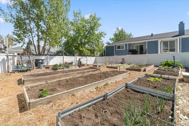 a view of backyard of the house