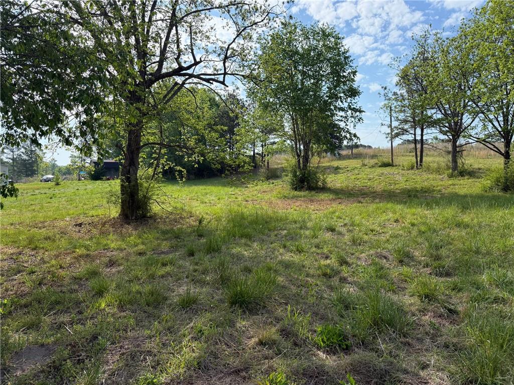 132 Hardin Road Northwest Adairsville, GA 30103 - Photo 8 of 9