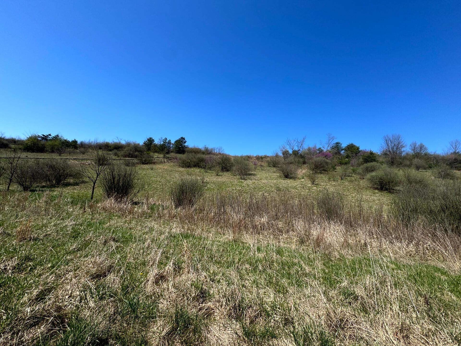 0 Sulphur Spring Road Southeast, Unit 105 ACRE SULPHUR SPRINGS) New Lexington, OH 43764 - Photo 21 of 30 CT-21