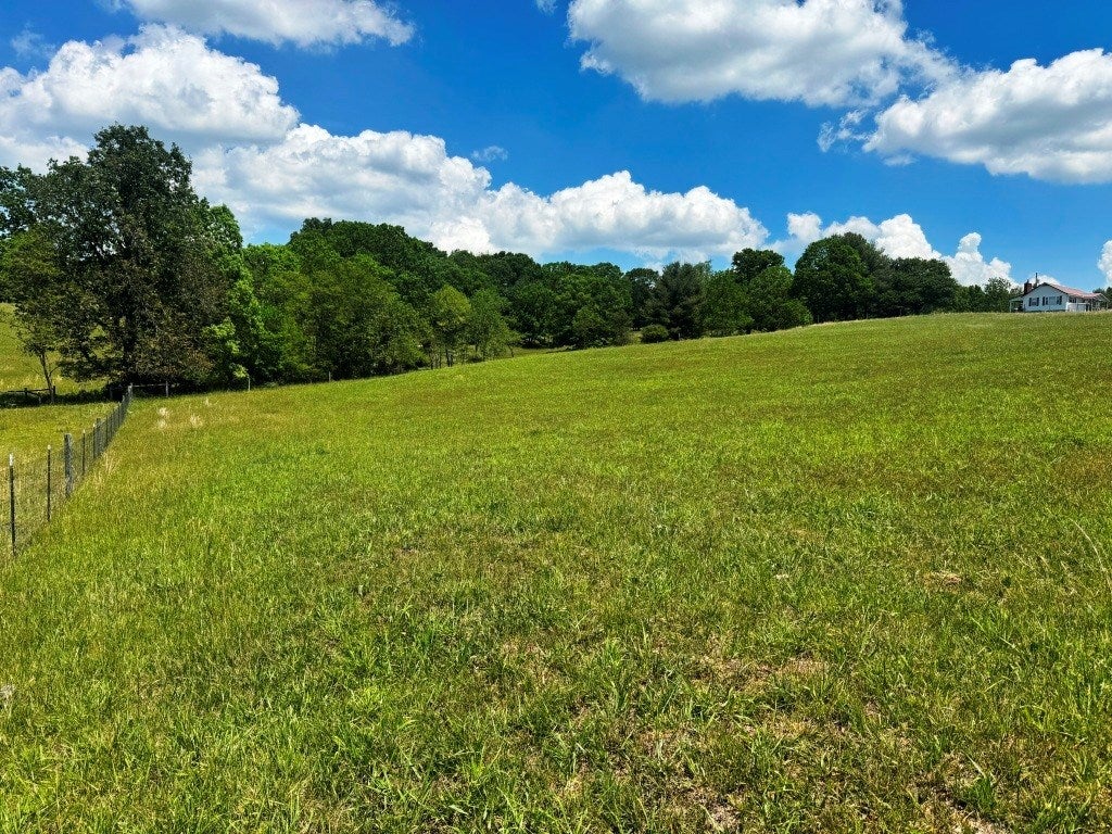 85-acre Coffey Road, Unit 1 & 2 Max Meadows, VA 24360 - Photo 20 of 25 Gallery Image 20