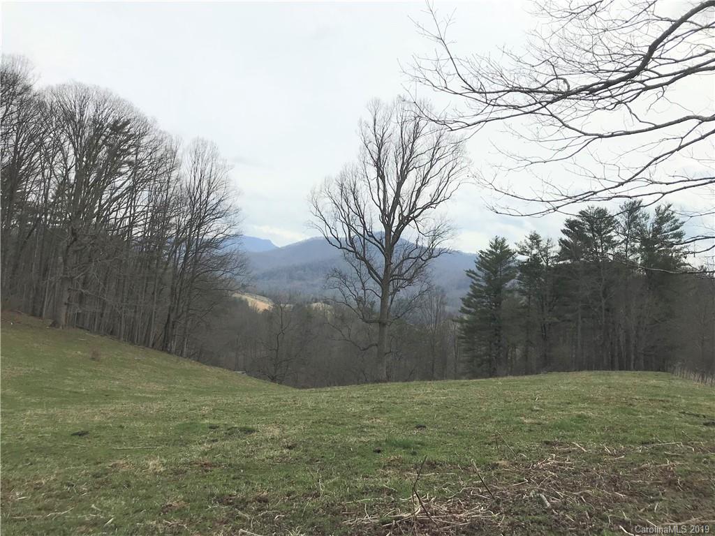 107 Bill McElroy Road Clyde, NC 28721 - Photo 16 of 20