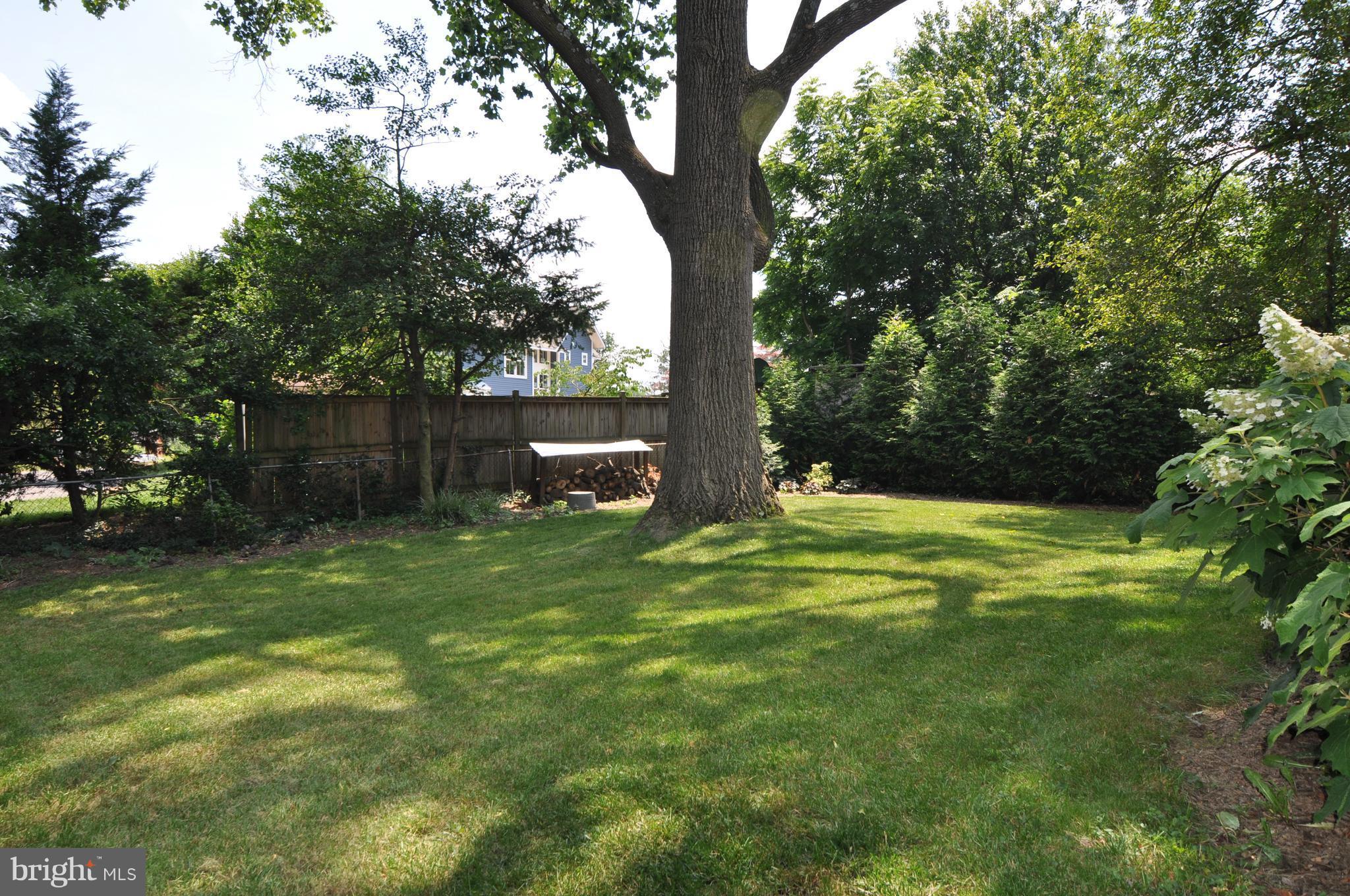 512 Kerwin Road Silver Spring, MD 20901 - Photo 23 of 27 Rear Yard Space