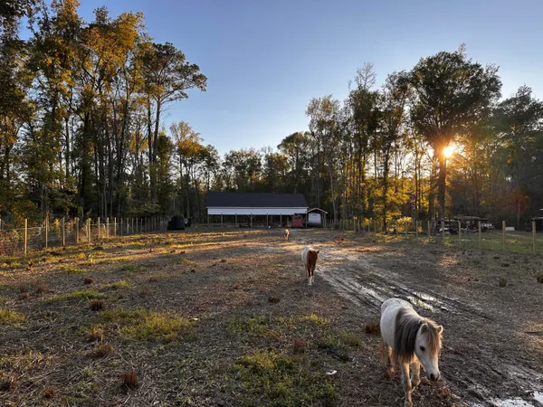 $205,000 | 0 Sullivans Ferry Road, Cottageville, SC 29435