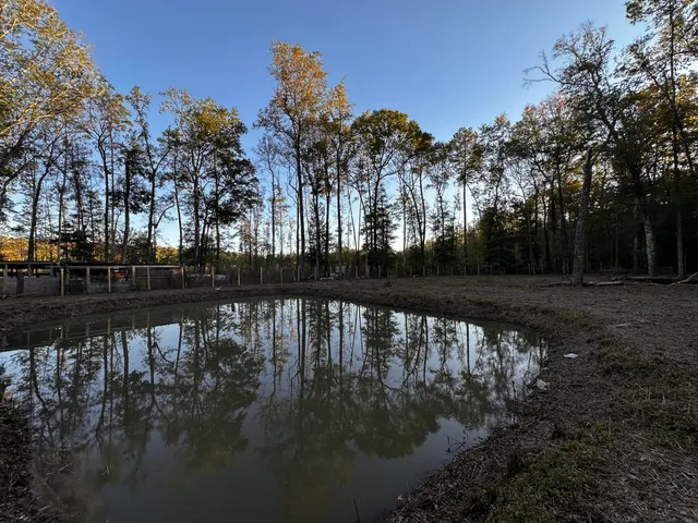 $205,000 | 0 Sullivans Ferry Road, Cottageville, SC 29435