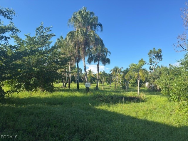 Island Ridge Road Bokeelia, FL 33922 - Photo 3 of 10 a garden view with a garden