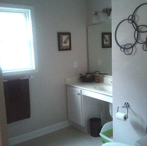 2036 River Ridge Court Salem, VA 24153 - Photo 16 of 32 Full Downstairs Bath