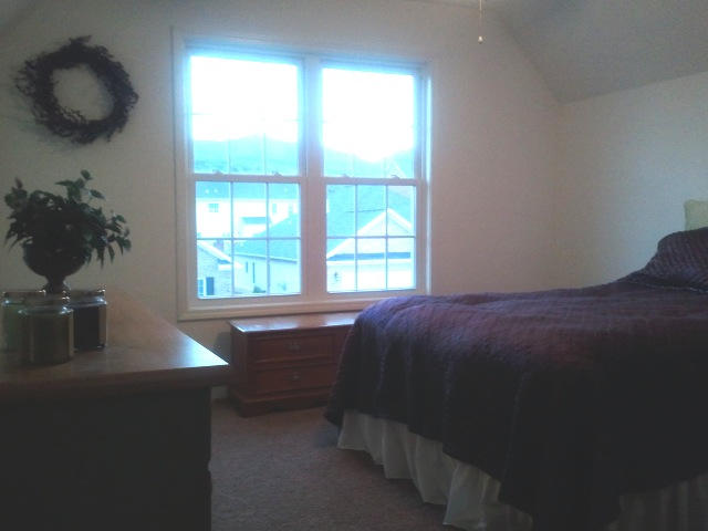 2036 River Ridge Court Salem, VA 24153 - Photo 19 of 32 Second Upstairs Bedroom