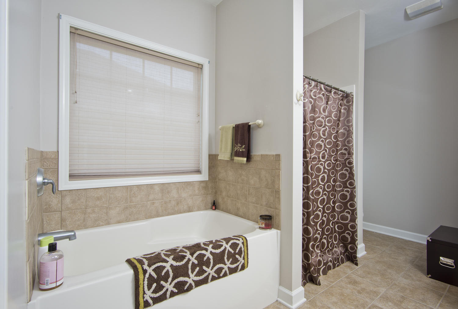 2036 River Ridge Court Salem, VA 24153 - Photo 10 of 32 Master Bathroom