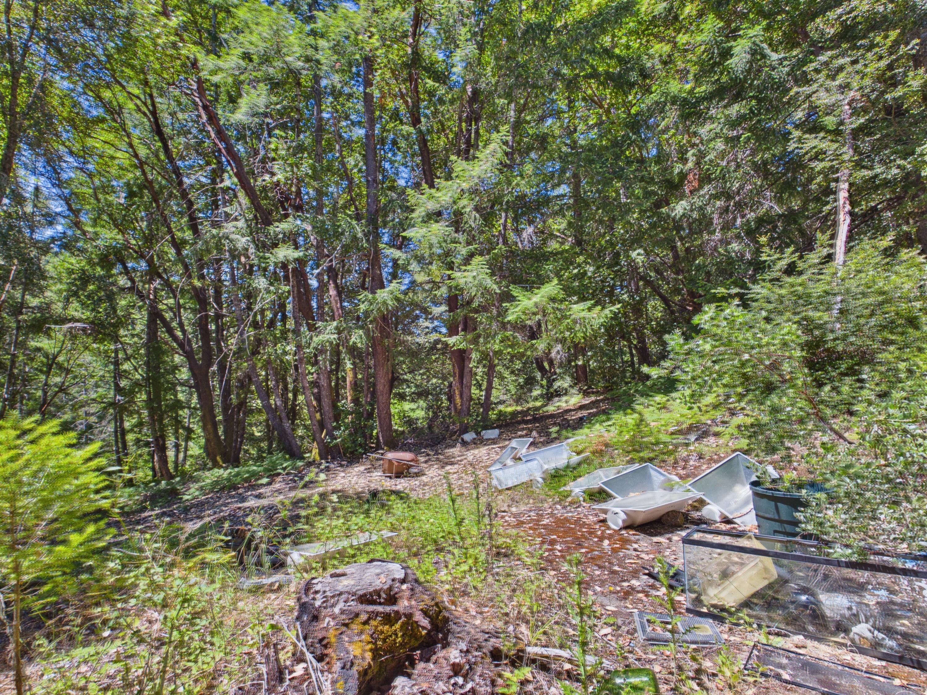 1055 Goodman Ranch Road Garberville, CA 95542 - Photo 51 of 63