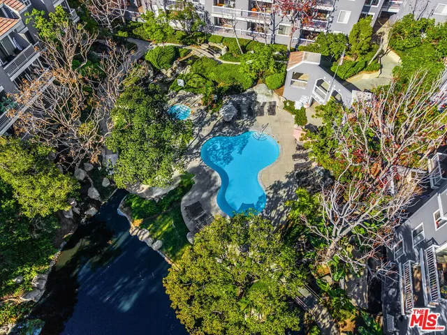 a picture of flowers