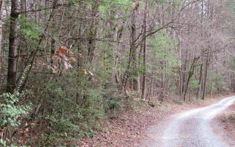 2.0 Hurley Lane Blue Ridge, GA 30513 - Photo 1 of 1 Main View