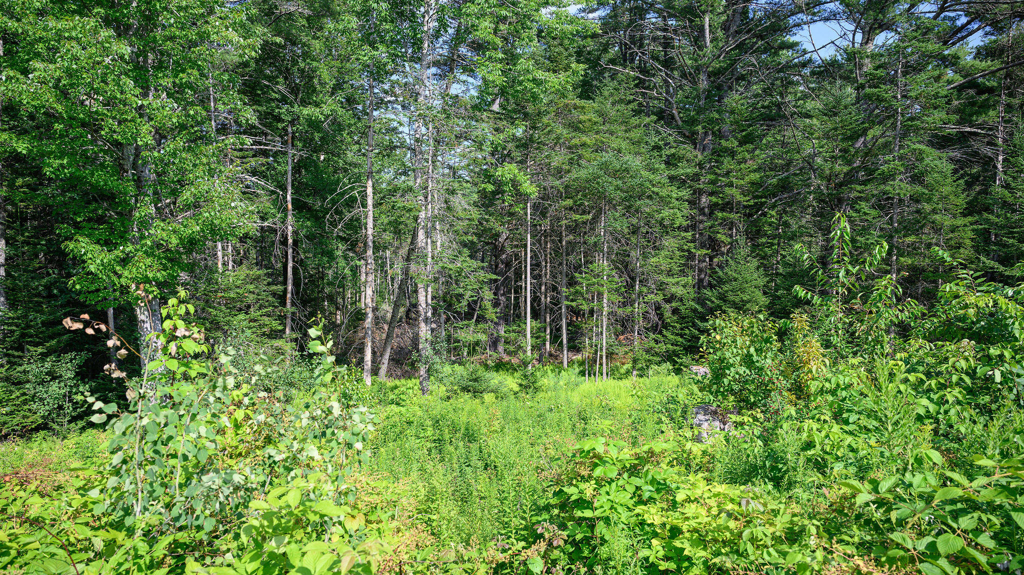 146 Davis Road Union, ME 04862 - Photo 30 of 34 146DavisRd-3611