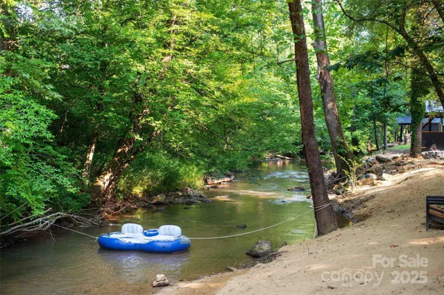 a lake view with a tree