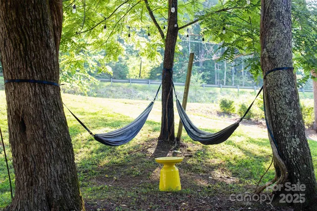 a view of a garden with a tree in a backyard