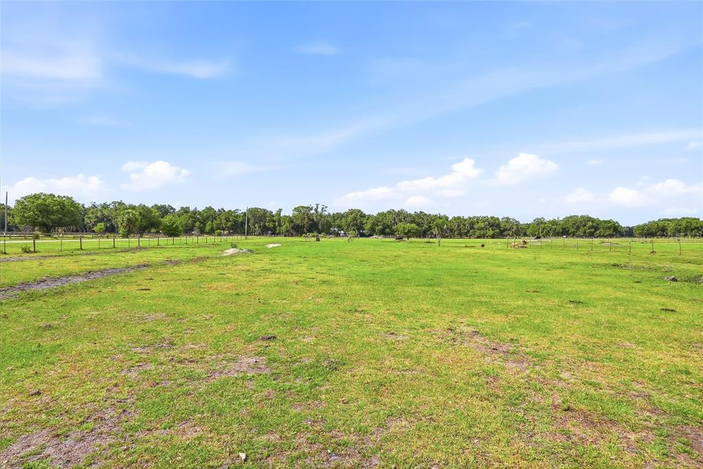 3416 Porter Road Lithia, FL 33547 - Photo 35 of 47