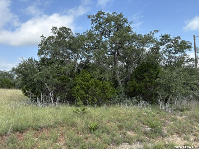 351 Ridge Point Spring Branch, TX 78070 - Photo 9 of 34