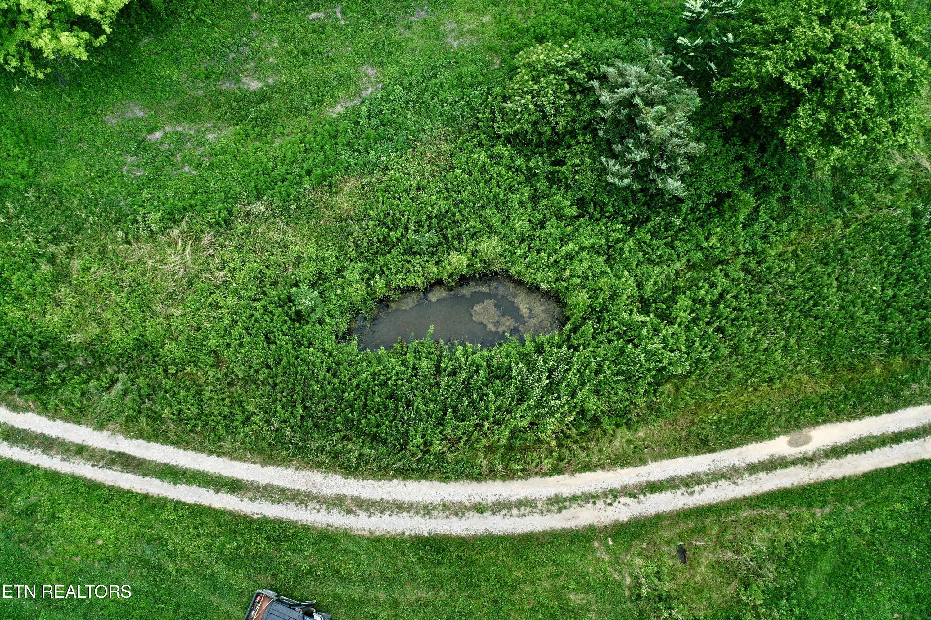 Smith Creek Road Oneida, TN 37841 - Photo 34 of 43 DJI_0418