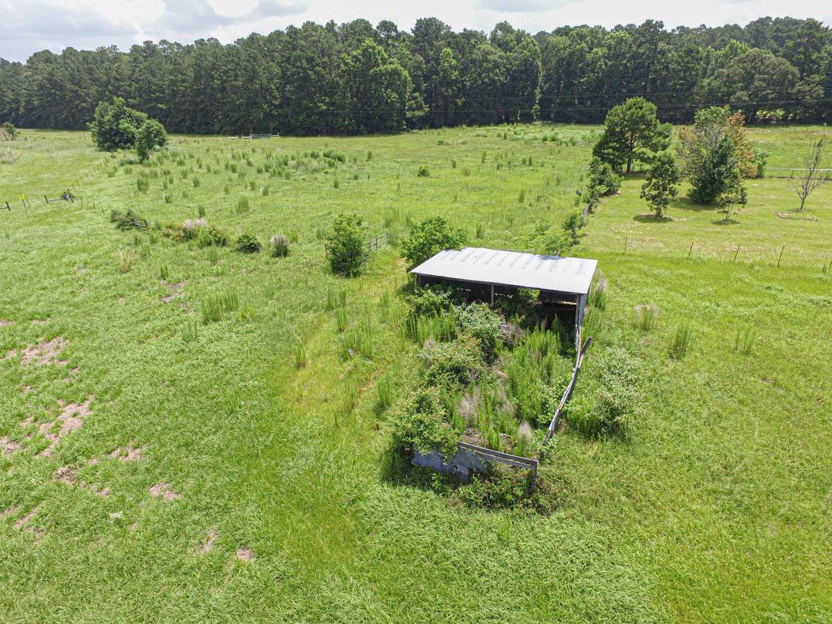 899 J Hickman Road Livingston, TX 77351 - Photo 8 of 48