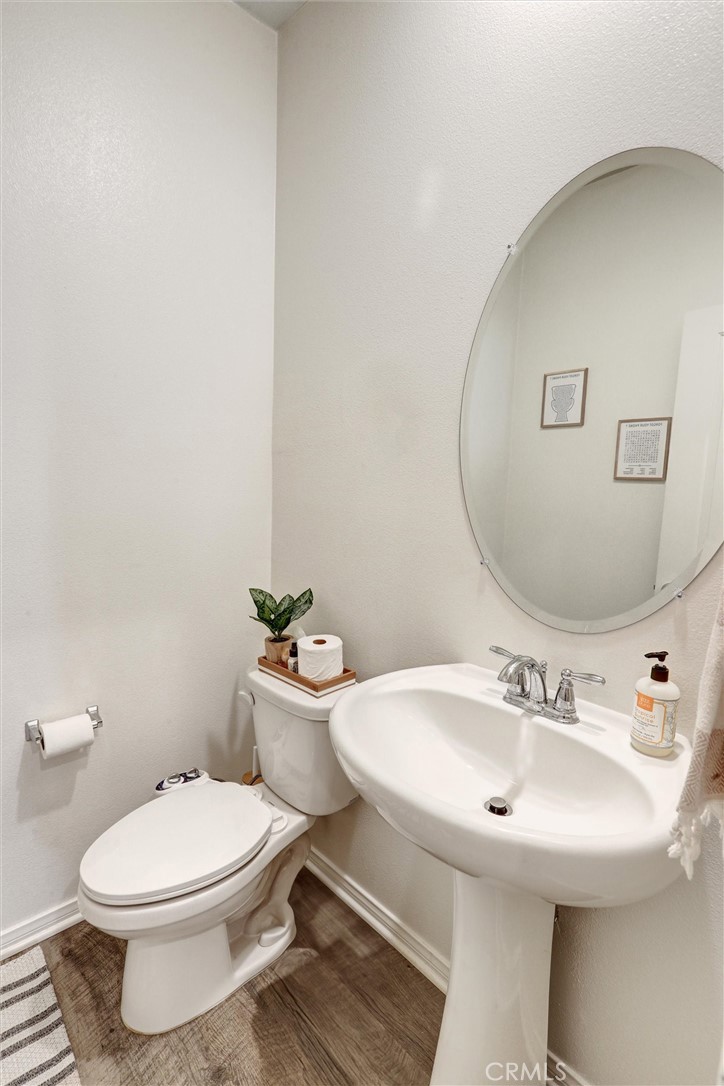 31214 Linden Flower Road Winchester, CA 92596 - Photo 15 of 39