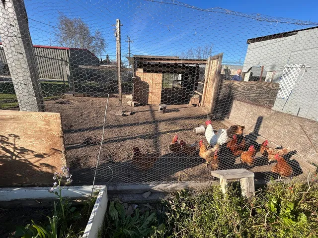a view of a backyard of the house