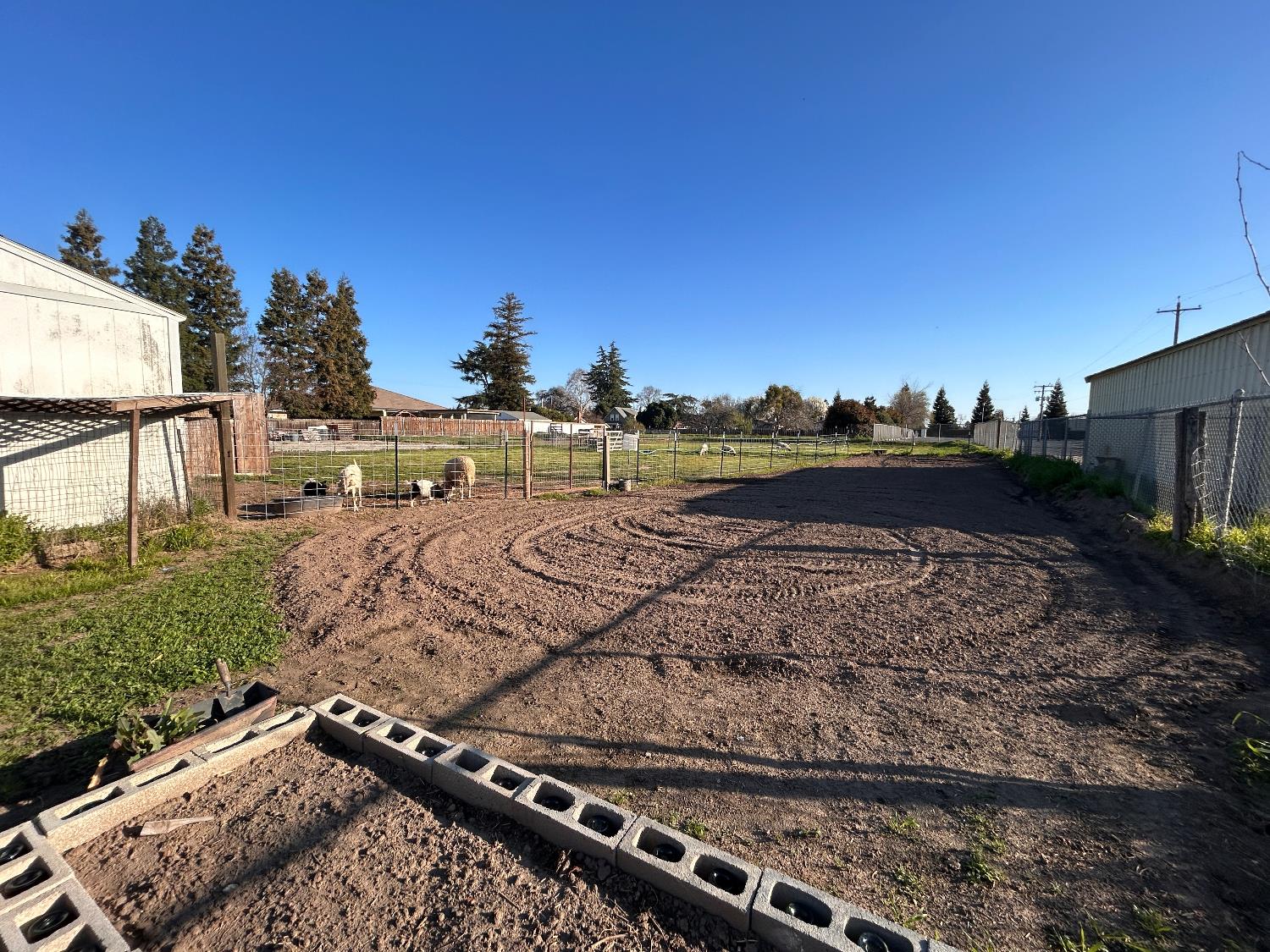 4910 East Zeering Road Denair, CA 95316 - Photo 10 of 11 a view of a backyard of the house