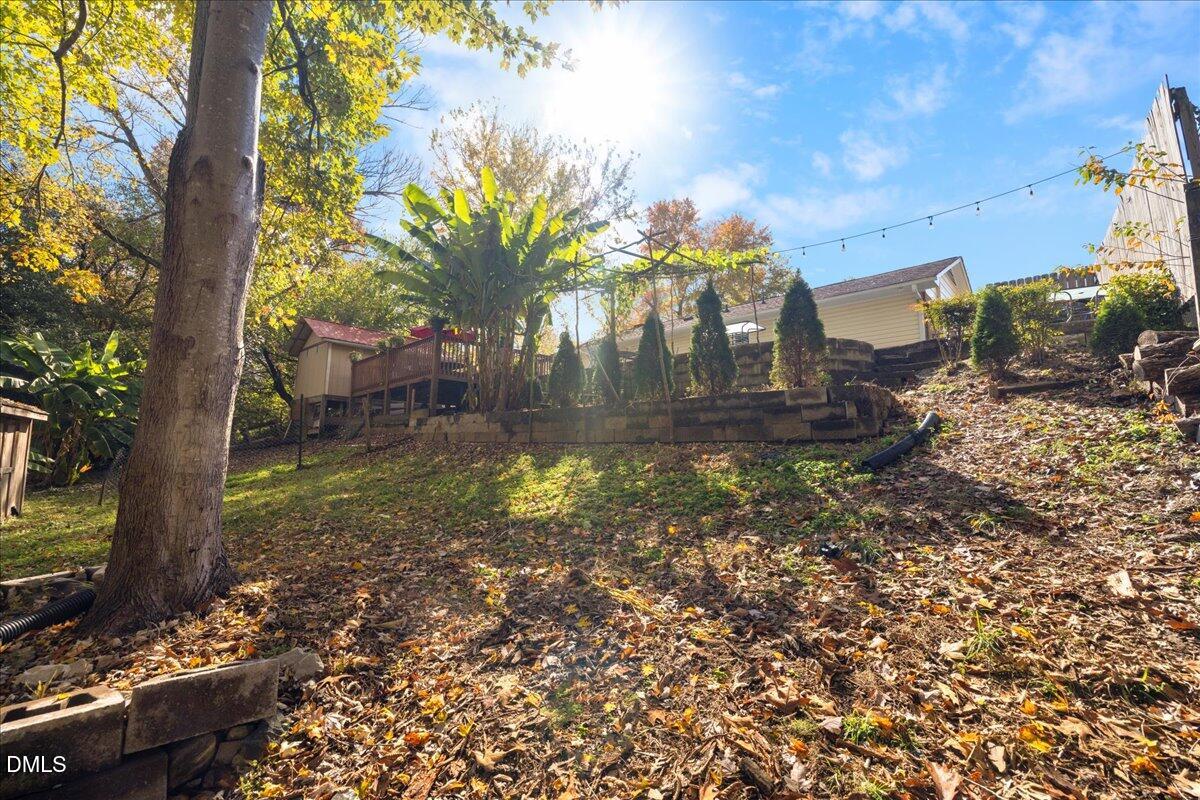 2323 Buckingham Road Burlington, NC 27217 - Photo 30 of 33 a view of a yard with plants and trees