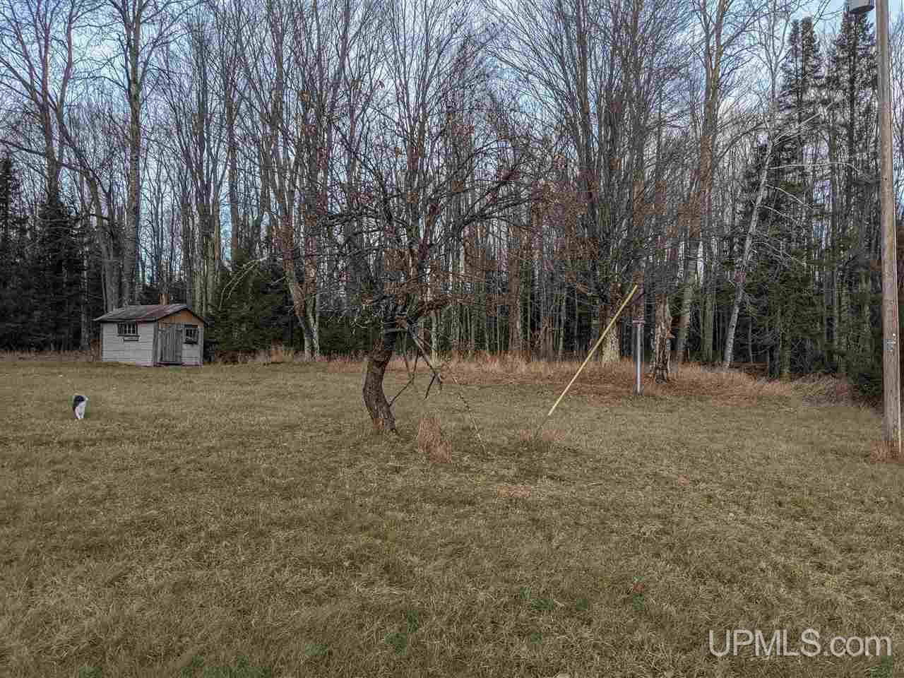 11851 Co Road Cornell, MI 49818 - Photo 27 of 49
