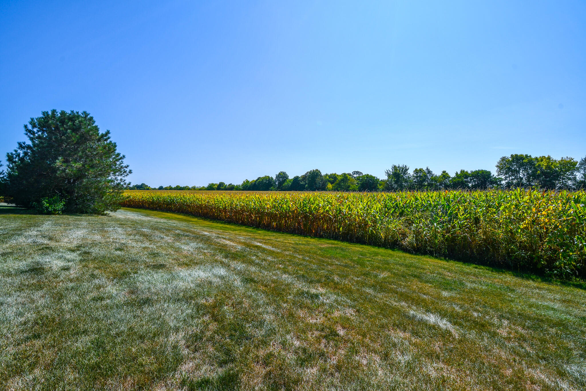 2990 Peebles Road Troy, OH 45373 - Photo 75 of 83