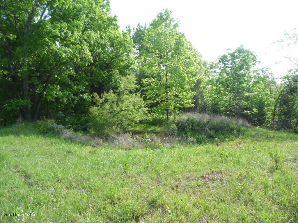 1025 Vaughn Road Lawrenceburg, KY 40342 - Photo 5 of 19 1609709_04