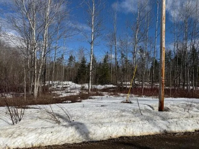 $29,500 | A McDonald Road, Mapleton, ME 04757