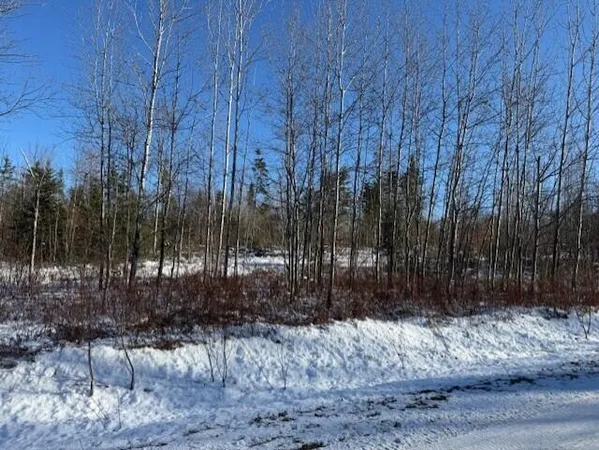 $29,500 | A McDonald Road, Mapleton, ME 04757