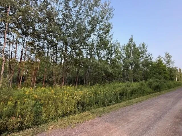 $29,500 | A McDonald Road, Mapleton, ME 04757