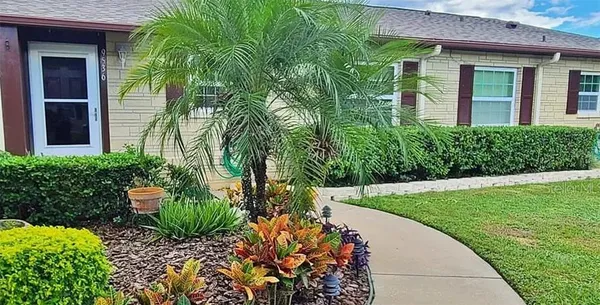a view of a garden with a fountain