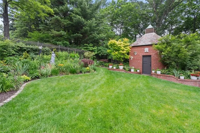 a view of a garden with plants