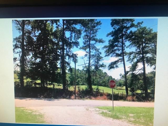 0 Pebbles Bend Road Woodbury, GA 30293 - Photo 1 of 5 Main View