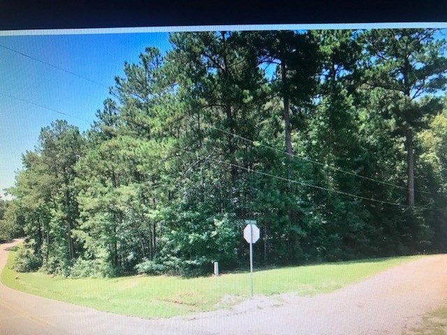 0 Pebbles Bend Road Woodbury, GA 30293 - Photo 3 of 5 Gallery Image 3