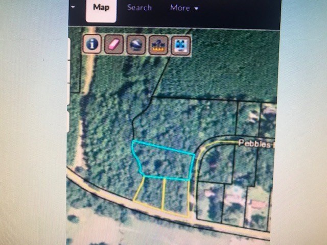 0 Pebbles Bend Road Woodbury, GA 30293 - Photo 4 of 5 Gallery Image 4