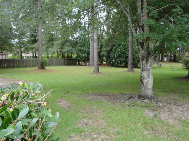 105 Nathan Road Summerville, SC 29486 - Photo 15 of 15 DSC06375