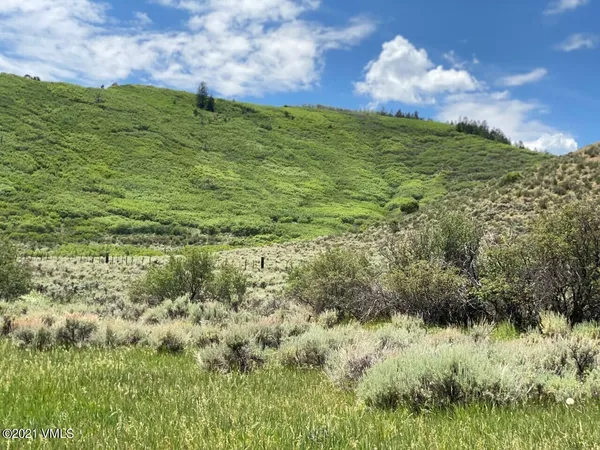 a view of a big yard